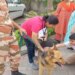 ITBP Unique Initiative Retired Dogs Will Now Do This Work For Children Will Go To Hospital Every Week