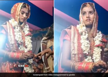Bride Fearfully Wore The Ring To The Groom So People Remembered Disha Patani And Salman Khan Reason Will Not Stop Laughing See Funny Video