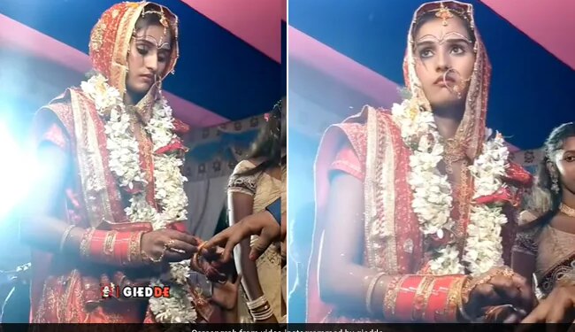 Bride Fearfully Wore The Ring To The Groom So People Remembered Disha Patani And Salman Khan Reason Will Not Stop Laughing See Funny Video