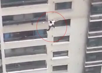 30 फ्लोर की बिल्डिंग से स्पाइडर मैन की तरह नीचे उतरा ये शख्स, वीडियो दिल दहला देने वाला है