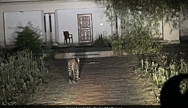 Leopard Captured In Front Of 120 Yr Old Guest House In UP Viral Photo Will Remind A Ruskin Bond Story