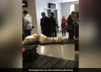 Strange Packing Luggage Reached The Luggage Belt Of The Airport People Were Surprised To See