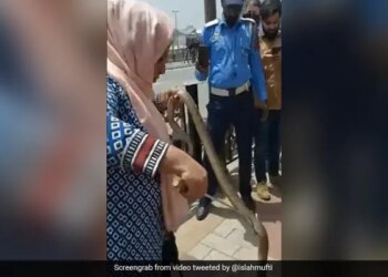 The Snake Was Sitting Comfortably In The Scooty, The Kashmiri Woman Showed Courage And Took Out In Minutes
