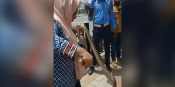 The Snake Was Sitting Comfortably In The Scooty, The Kashmiri Woman Showed Courage And Took Out In Minutes