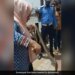 The Snake Was Sitting Comfortably In The Scooty, The Kashmiri Woman Showed Courage And Took Out In Minutes