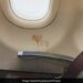 Inside The Flight Man Had Spit Paan Photo Goes Viral IAS Said Someone Left His Identity – फ्लाइट के अंदर किसी ने थूक दिया था पान, वायरल हुई फोटो, IAS बोला