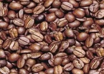 Man Is Hidden In The Middle Of This Coffee Bean, Within 30 Seconds The Finder Will Become Great