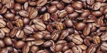 Man Is Hidden In The Middle Of This Coffee Bean, Within 30 Seconds The Finder Will Become Great