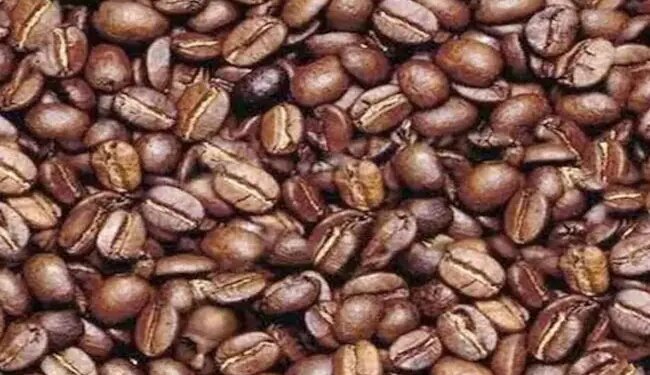 Man Is Hidden In The Middle Of This Coffee Bean, Within 30 Seconds The Finder Will Become Great