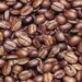 Man Is Hidden In The Middle Of This Coffee Bean, Within 30 Seconds The Finder Will Become Great
