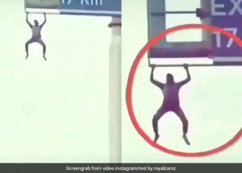 Man Was Seen Doing Pull Ups By Climbing On The Hoarding On Highway Video Viral On Social Media