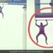 Man Was Seen Doing Pull Ups By Climbing On The Hoarding On Highway Video Viral On Social Media