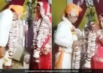 Viral Video: At The Time Of Jaimala The Groom Pants Silpped Away, People Are Laughing After Watching The Video On Social Media