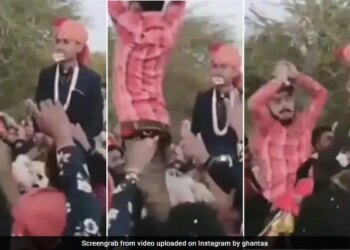 Nagin Dance Ka Video | Boy Did The Naagin Dance While Sitting On The Mare