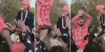Nagin Dance Ka Video | Boy Did The Naagin Dance While Sitting On The Mare