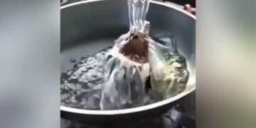 Seeing Pastry Maggi On The Internet, Users Said – Dont Do This My Dear, Let It Live Now! – इंटरनेट पर पेस्ट्री मैग्गी देख कर यूज़र्स ने कहा