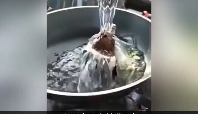 Seeing Pastry Maggi On The Internet, Users Said – Dont Do This My Dear, Let It Live Now! – इंटरनेट पर पेस्ट्री मैग्गी देख कर यूज़र्स ने कहा