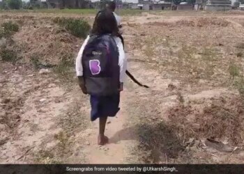 This Student Of Bihar Goes To School With One Leg, Watching The Video, Sonu Sood Said – We Will Give The Other Leg – एक पैर से स्कूल पढ़ने जाती है बिहार की ये छात्रा, वीडियो देख सोनू सुद ने कहा