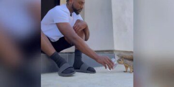 Man Talks To Squirrels Feeds With His Hands Always Keeps Them Like A Child Internet Loves It See Cute Viral Video – गिलहरियों से बातें करता है ये शख्स, अपने हाथों से खिलाता है खाना, बच्चे की तरह हमेशा रखता है साथ