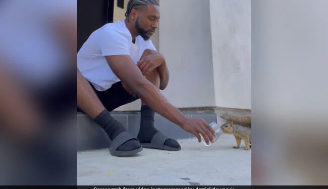 Man Talks To Squirrels Feeds With His Hands Always Keeps Them Like A Child Internet Loves It See Cute Viral Video – गिलहरियों से बातें करता है ये शख्स, अपने हाथों से खिलाता है खाना, बच्चे की तरह हमेशा रखता है साथ
