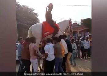 Groom Was Sitting On A Mare People Lifted Both Of Them On The Cot In The Air Then Started Dancing See Viral Video