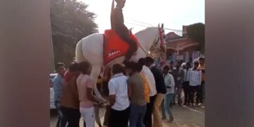 Groom Was Sitting On A Mare People Lifted Both Of Them On The Cot In The Air Then Started Dancing See Viral Video