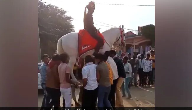 Groom Was Sitting On A Mare People Lifted Both Of Them On The Cot In The Air Then Started Dancing See Viral Video