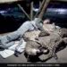 Man Puts Full Trust In 3 Cheetah And Sleeps With Them To Know Their Sleep Pattern Old Video Viral On Social Media