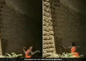 Woman Seen Throwing Cow Dung Cakes On The Wall With Precise Aim Video Goes Viral On Social Media