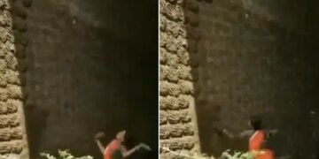 Woman Seen Throwing Cow Dung Cakes On The Wall With Precise Aim Video Goes Viral On Social Media