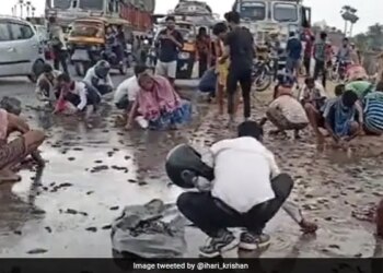 Truck Overturned Thereafter Loot Happened For Fishes Loaded On It In Gaya Bihar | People Looting Fish On The Road In Gaya Bihar