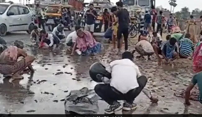 Truck Overturned Thereafter Loot Happened For Fishes Loaded On It In Gaya Bihar | People Looting Fish On The Road In Gaya Bihar
