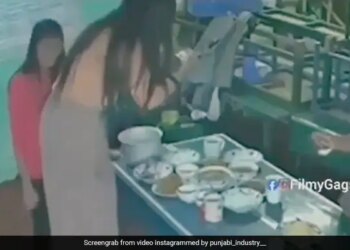 Woman Taking Picture Of Food On The Table Suddenly Balance Disturbed Then What Happened Next You Will Not Stop Laughing