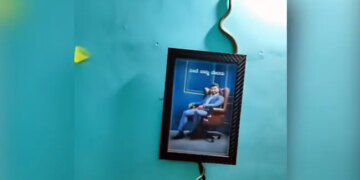 Venomous Snake Was Climbing On The Wall Of The House Internet Shocked To See This Hair Raising Shocking Video