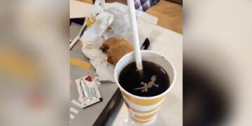 Dead Lizard Found In Cold Drink, Man Shared Video On Social Media
