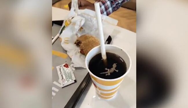 Dead Lizard Found In Cold Drink, Man Shared Video On Social Media