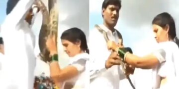 Bride And Groom Wore Cobra And Python Instead Of Garlands To Each Other In Wedding Internet Shocked Watch Viral Video