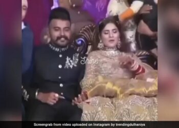 Guests Stood Behind The Groom For Clicking Photos Child Pulled The Bride Hair Then What Happened Next See Viral Video – दूल्हे के साथ फोटो खिंचवा रहे थे लोग, पीछे से बच्चे ने ज़ोर से खींचे दुल्हन के बाल, बिगड़ गया पूरा हेयरस्टाइल हुआ ये हाल