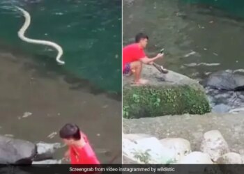 People Were Taking A Fun On The River Suddenly Big Snake Attack Watch Video