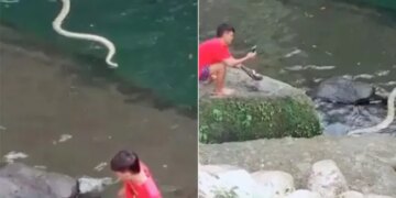 People Were Taking A Fun On The River Suddenly Big Snake Attack Watch Video