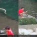 People Were Taking A Fun On The River Suddenly Big Snake Attack Watch Video