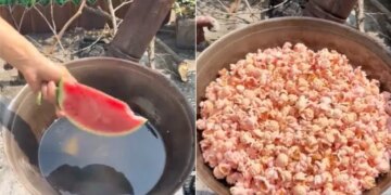 A Unique Experiment With Popcorn | Watch This Is How Watermelon Popcorns Are Made – ये हैं तरबूज वाले Popcorn, देखकर चकराया नेटिजन्स का सिर, बोले