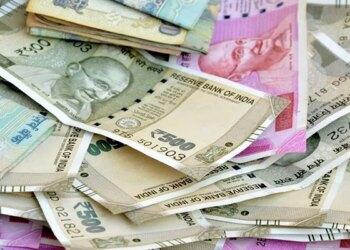 Seeing The Money Raining From The Tree, The Boy Did Something Like This, This Funny VIDEO Will Make You Laugh With Laughter