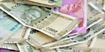 Seeing The Money Raining From The Tree, The Boy Did Something Like This, This Funny VIDEO Will Make You Laugh With Laughter
