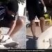 Man Saves Dog Life By CPR Heart Winning Video Goes Viral | Man Saves Dog Life Video Viral On Social Media