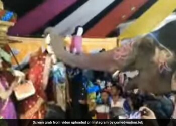 VIDEO: शादी समारोह में पहुंचा हाथी, दूल्हे के सामने दुल्हन को पहनाई वरमाला