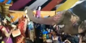 VIDEO: शादी समारोह में पहुंचा हाथी, दूल्हे के सामने दुल्हन को पहनाई वरमाला