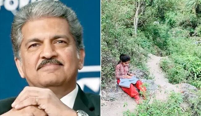 Anand Mahindra Told A Girl His Motivation While Studying On A Rock