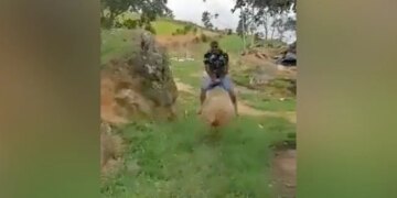 Video Of Hippopotamus And Goat Goes Viral On Social Media, See Here