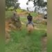 Video Of Hippopotamus And Goat Goes Viral On Social Media, See Here
